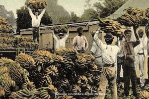 El sector primario y el desarrollo